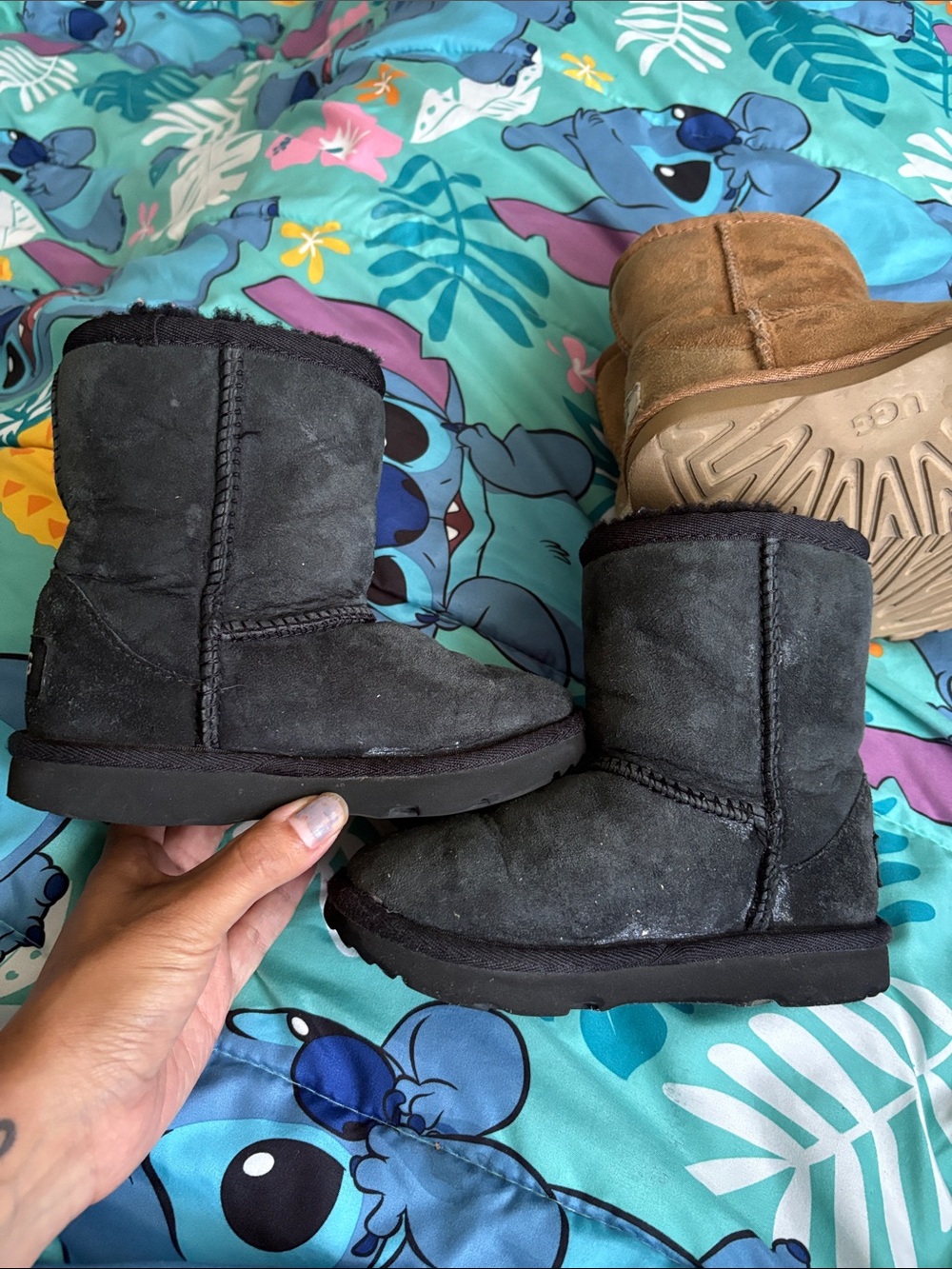 UGG Classic Short Boots - Chestnut and Black Pairs - Picture 9 of 16